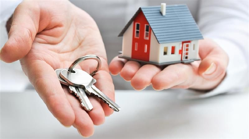 Blog Images-1-01.jpg